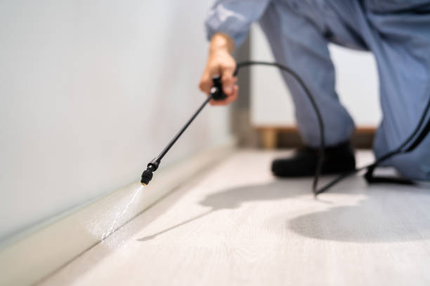 Licensed Cockroach Control service in Toledo, OR - Nex Pest Control
