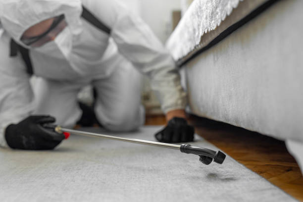Professional Cockroach Control technician working in Toledo, OR