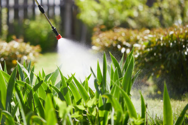 24/7 Emergency Cockroach Control experts in Toledo, OR