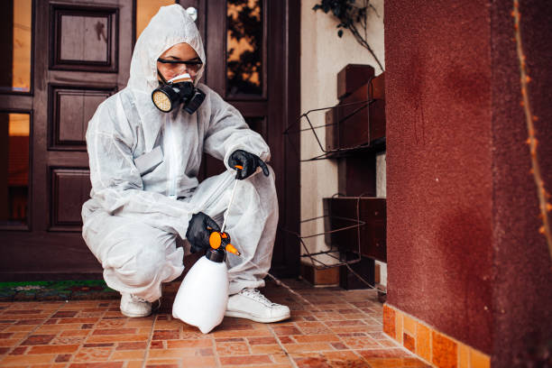 Reliable Cockroach Control contractor in Toledo, OR by Nex Pest Control